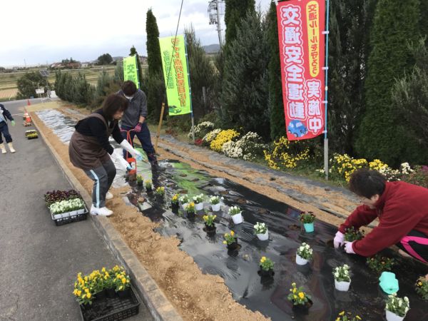本社の花壇の植替えは薄曇りの寒空のなか事務所総出でがんばりました！