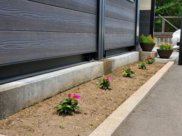 まだ、ちょっと寂しい感じですが秋には大きくなっているはずです…