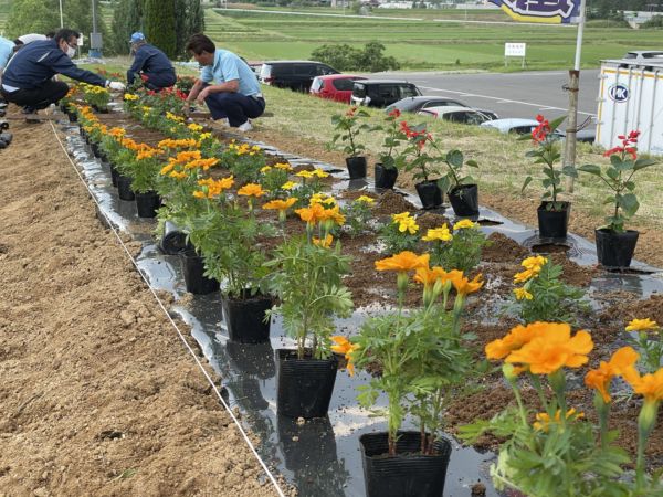 植えてもらうの待ちです