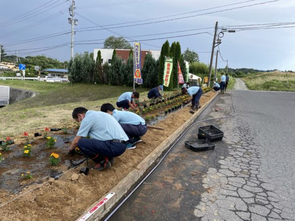 事務所男性スタッフ総出で植えました 暑いけど頑張れ!!